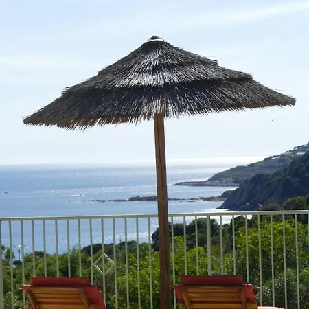 Residenza L 'alivetu Aparthotel Cargese