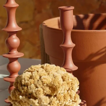 Residenza L 'alivetu