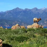 Residenza L 'alivetu