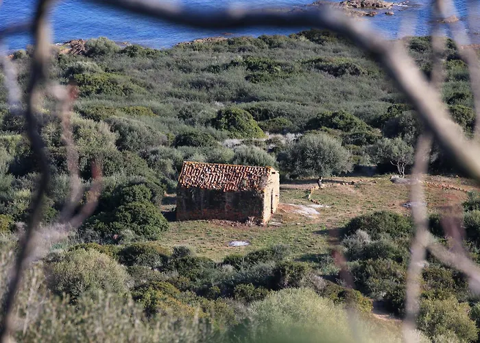 Residenza L 'alivetu Cargèse