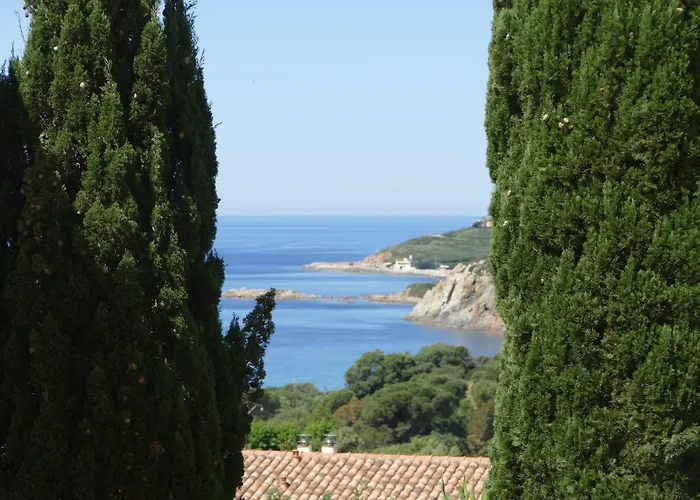 Aparthotel Residenza L 'alivetu 4*