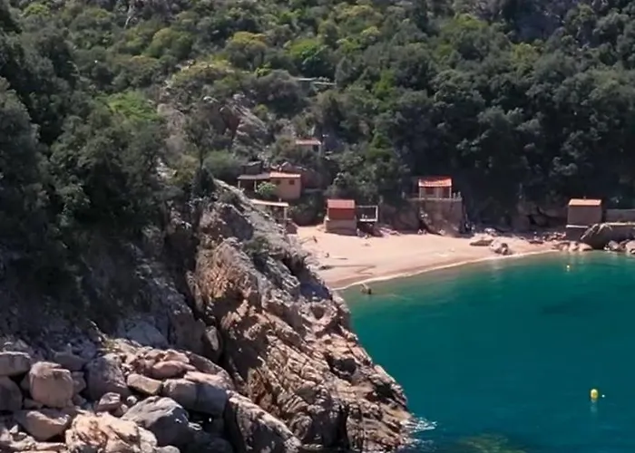 Aparthotel Residenza L 'alivetu 4*