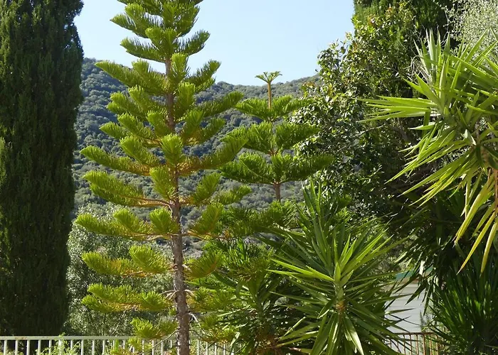 Residenza L 'alivetu