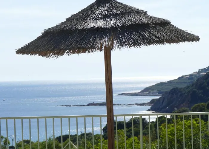 Residenza L 'alivetu Aparthotel Cargèse