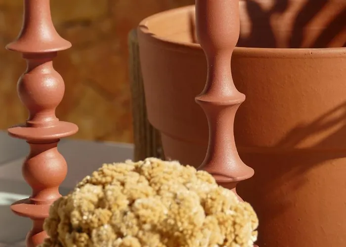 Residenza L 'alivetu