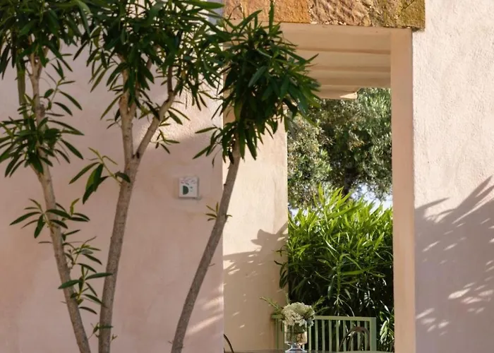 Residenza L 'alivetu